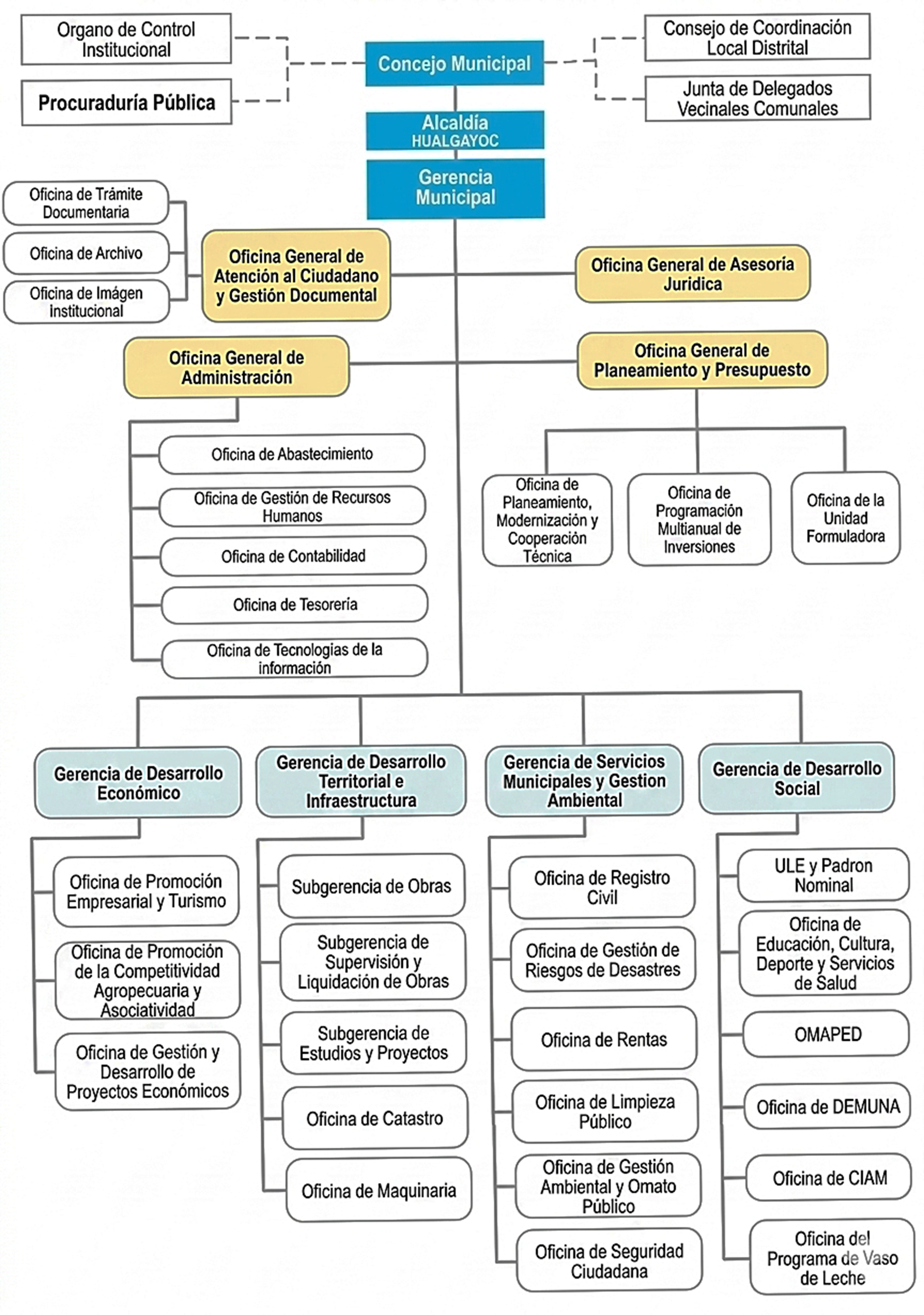 Organigrama